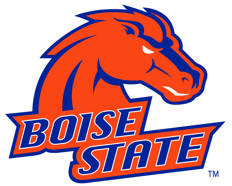 Boise State Broncos 2002-2012 Alternate Logo v4 diy iron on heat transfer